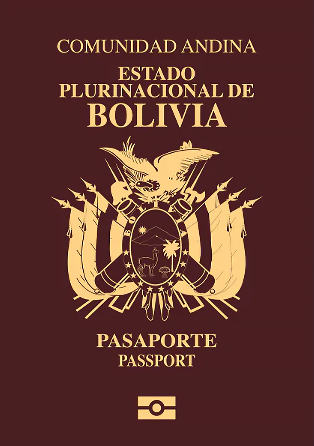 Bolivia Passport