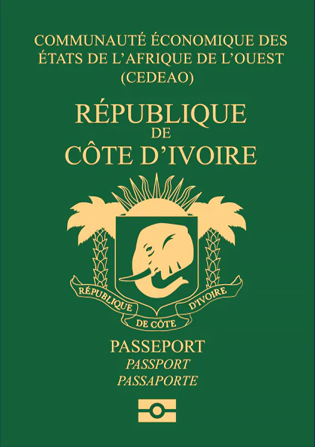 Côte d'Ivoire Passport